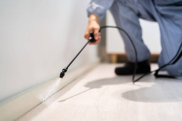 Licensed Termite Control service in Hardin County County, TN - Nex Pest Control