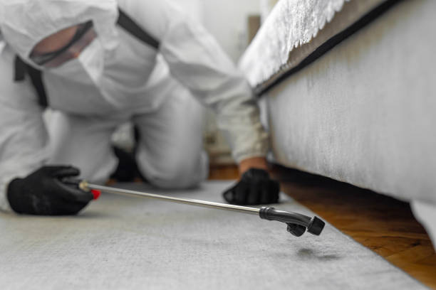 Professional Termite Control technician working in Hardin County County, TN